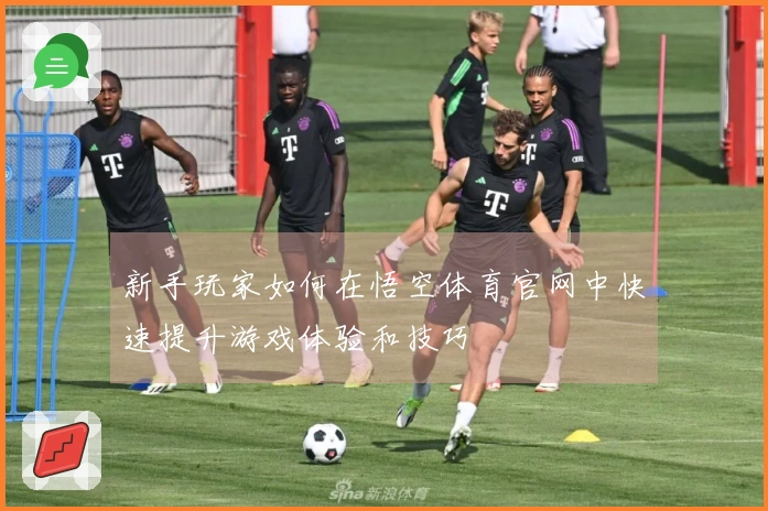 新手玩家如何在悟空体育官网中快速提升游戏体验和技巧