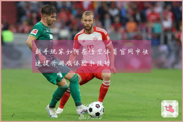 新手玩家如何在悟空体育官网中快速提升游戏体验和技巧