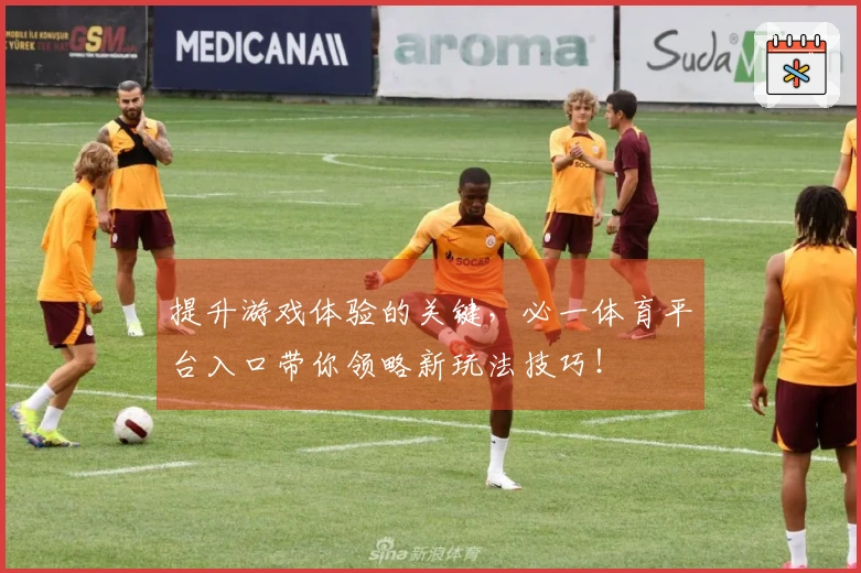 提升游戏体验的关键，必一体育平台入口带你领略新玩法技巧！